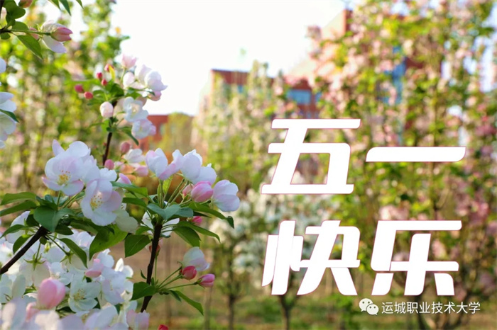 mmexport1652087772314.jpg mmexport1652087772314.jpg