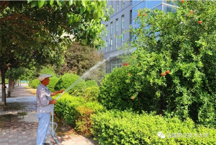 mmexport1652087816510.jpg mmexport1652087816510.jpg