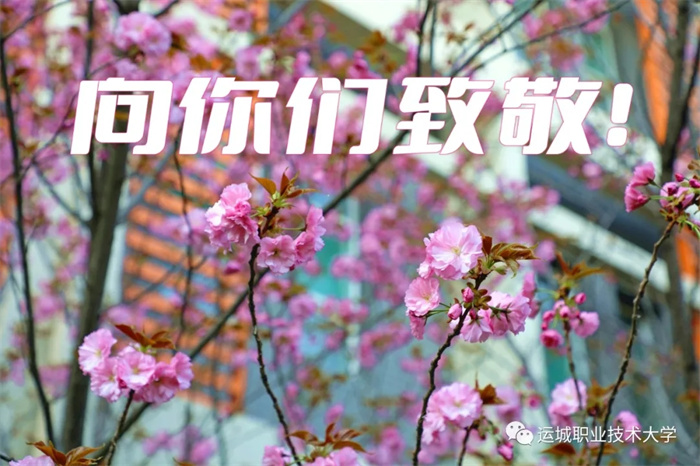 mmexport1652087835052.jpg mmexport1652087835052.jpg