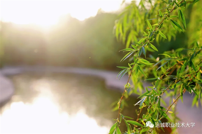 mmexport1652087765989.jpg mmexport1652087765989.jpg